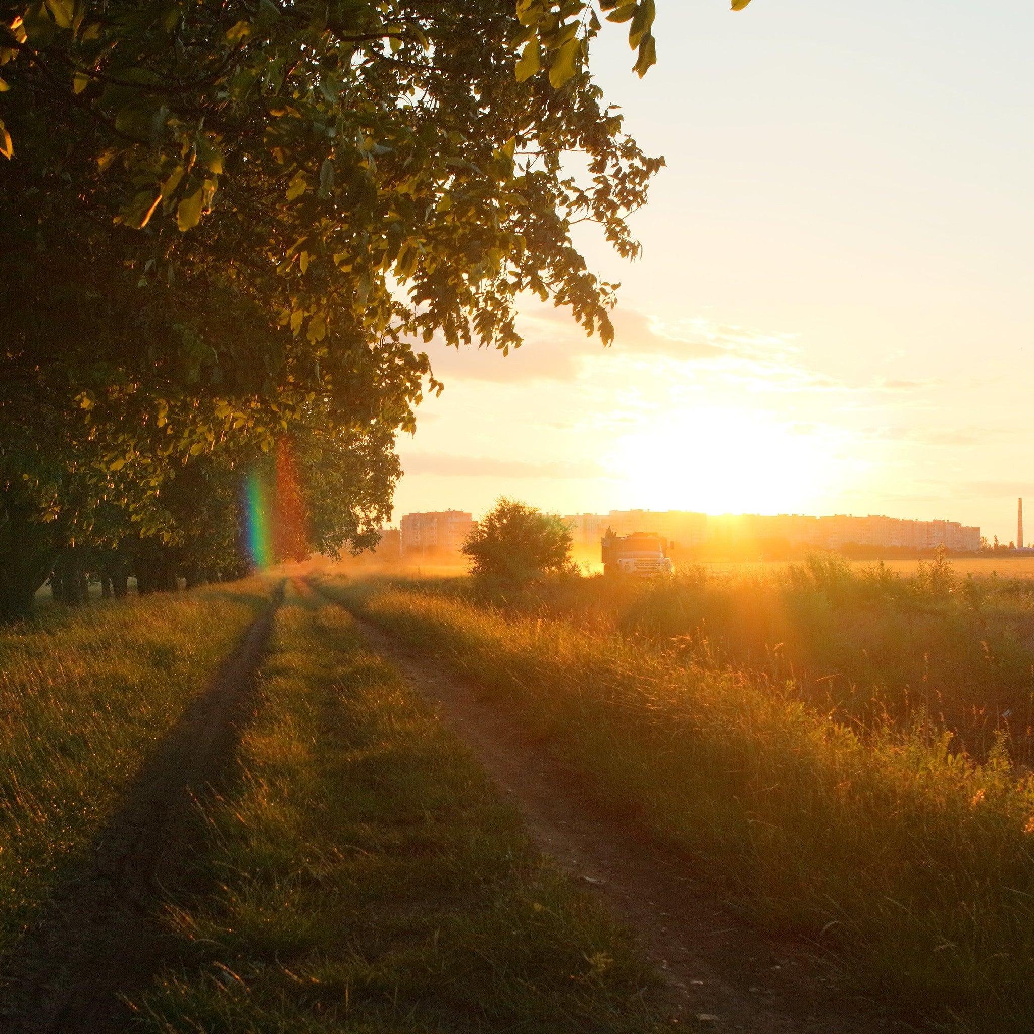 Sunactinon, Objectif Sunactinon 28mm f/2.8