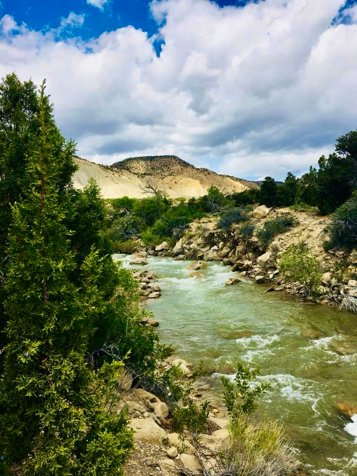 Allen's Camera, The Greens of Utah - Lac Utah